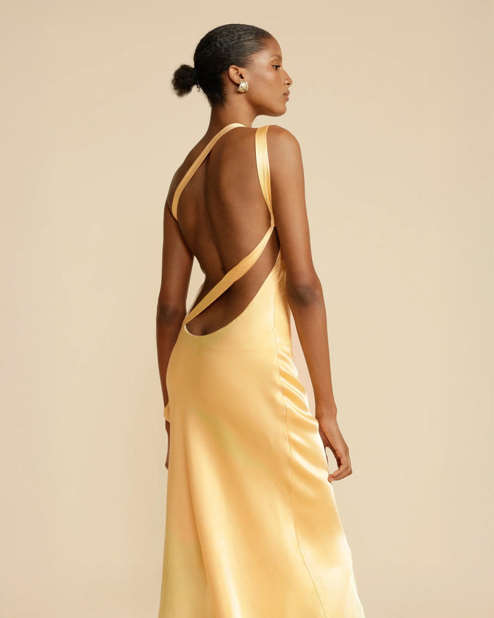 Amara Long Maxi Dress