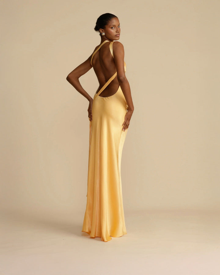 Amara Long Maxi Dress