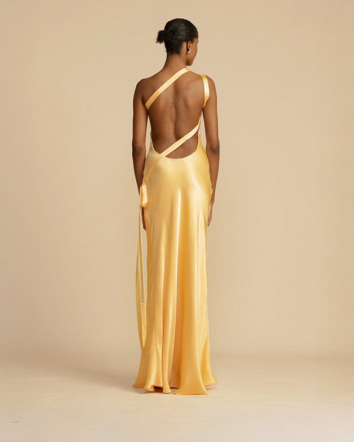 Amara Long Maxi Dress