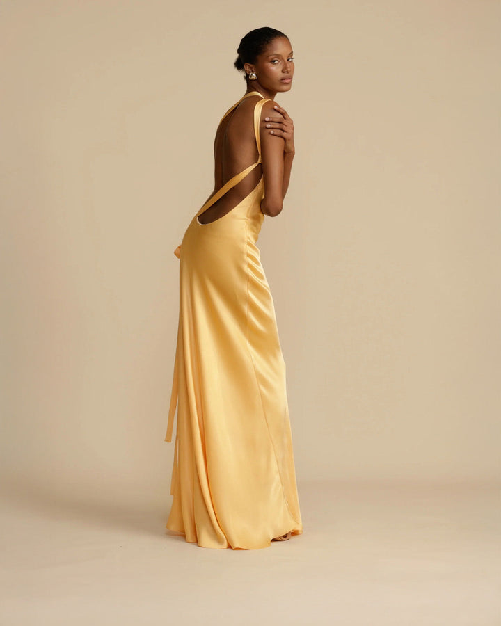 Amara Long Maxi Dress