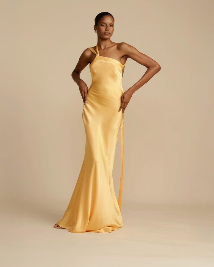 Amara Long Maxi Dress