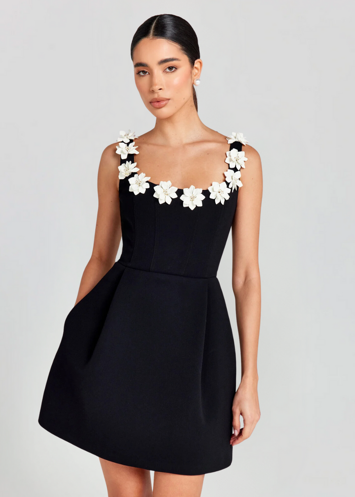 Women’s Floral Appliqué Fit & Flare Mini Dress